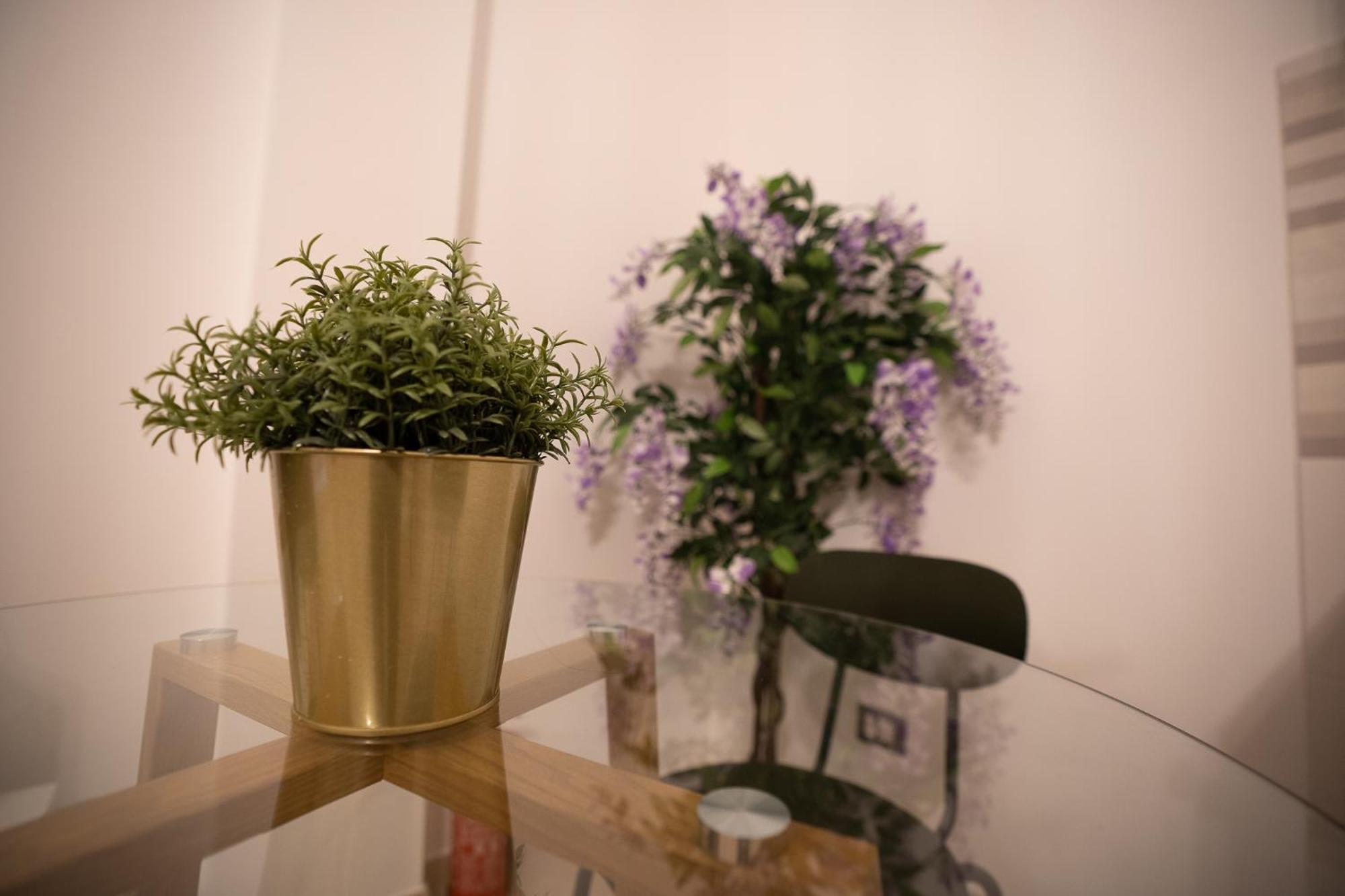 Airport Noa Modern Home Fiumicino Luaran gambar